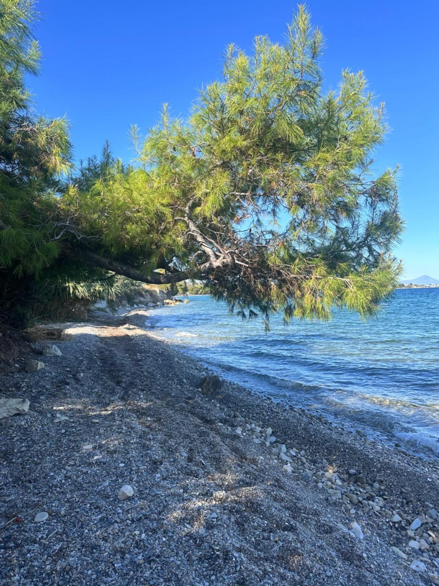Seaterra Boutique Suite Κάλαμος Εξωτερικό φωτογραφία